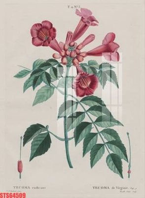 File in trần Tranh sơn dầu phương tây tổng hợp STS64509 (bản gốc) đại dương