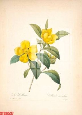 File ảnh Tranh sơn dầu phương tây tổng hợp STS6537 (gốc) in standee