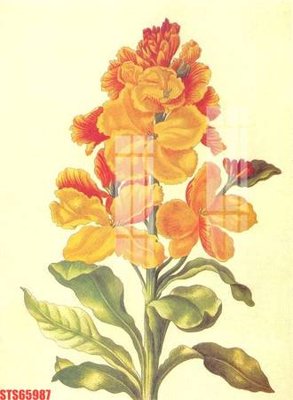 File tranh trang trí Tranh sơn dầu phương tây tổng hợp STS65987 (tải file gốc)