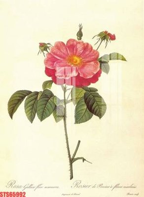 Download file ảnh gốc Tranh sơn dầu phương tây tổng hợp STS65992 để in ấn