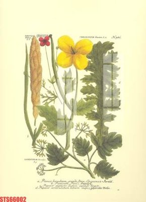 Download file tranh Tranh sơn dầu phương tây tổng hợp STS66002 (file gốc PSD)