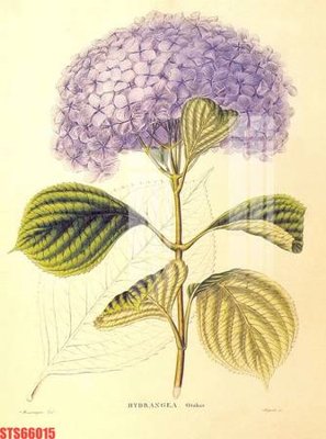 File gốc Tranh sơn dầu phương tây tổng hợp STS66015 (in lụa) cao cấp