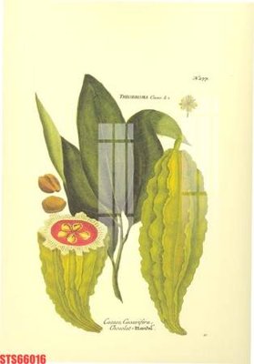 File in trần Tranh sơn dầu phương tây tổng hợp STS66016 (bản gốc) phong cảnh