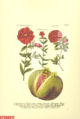 Download file gốc Tranh sơn dầu phương tây tổng hợp STS66017 (in mica) logo