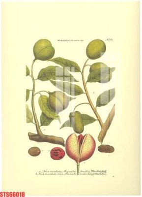 Tải file Tranh sơn dầu phương tây tổng hợp STS66018 (gốc) chủ đề tâm linh