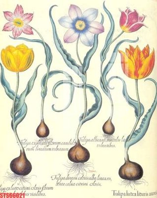 Tải file Tranh sơn dầu phương tây tổng hợp STS66021 (gốc) làm file in ấn