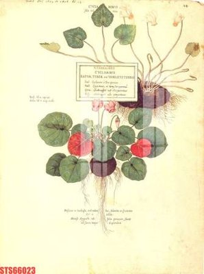 File gốc Tranh sơn dầu phương tây tổng hợp STS66023 (PNG) không nền chất lượng