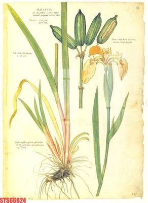 File gốc Tranh sơn dầu phương tây tổng hợp STS66024 (in lụa) tranh phong thủy