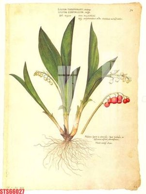 File gốc Tranh sơn dầu phương tây tổng hợp STS66027 (in mica) cắt laser