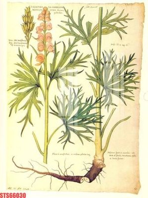 File in mica Tranh sơn dầu phương tây tổng hợp STS66030 (ảnh gốc) đẹp