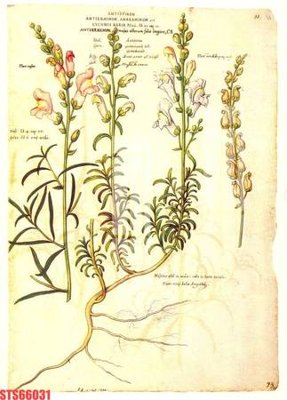 Download file Tranh sơn dầu phương tây tổng hợp STS66031 (gốc) in mica cao cấp