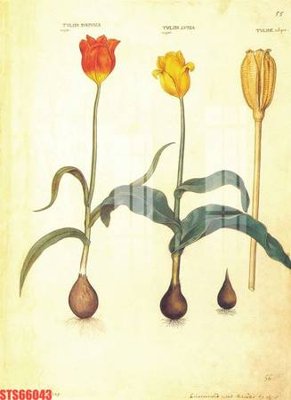 File gốc Tranh sơn dầu phương tây tổng hợp STS66043 (in mica) cắt laser