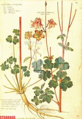 Mua file ảnh gốc Tranh sơn dầu phương tây tổng hợp STS66045 (chất lượng cao)