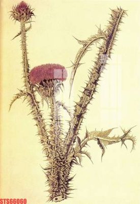 File gốc Tranh sơn dầu phương tây tổng hợp STS66060 (PNG) không nền chất lượng