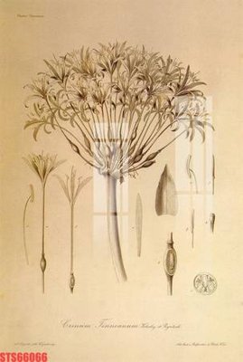 Download file Tranh sơn dầu phương tây tổng hợp STS66066 (chuẩn in) chất lượng cao