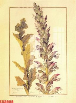 File gốc in ấn Tranh sơn dầu phương tây tổng hợp STS66068 chất lượng vượt trội