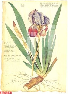 File in ấn Tranh sơn dầu phương tây tổng hợp STS66075 chuyên nghiệp