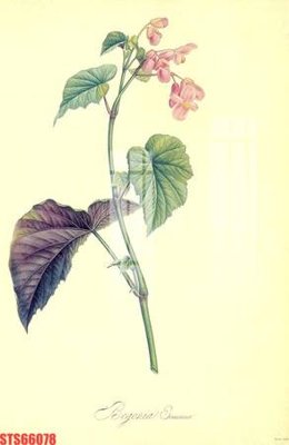 File in ấn Tranh sơn dầu phương tây tổng hợp STS66078 (bản gốc) chất lượng cao