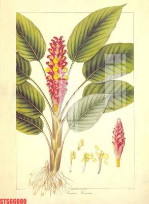 File PSD Tranh sơn dầu phương tây tổng hợp STS66080 (bản gốc) chất lượng nhất