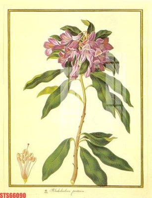 Download file gốc Tranh sơn dầu phương tây tổng hợp STS66090 (in lụa) hoa lá