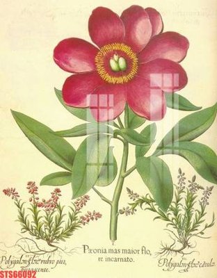 Tệp tin gốc Tranh sơn dầu phương tây tổng hợp STS66092 (chất lượng) Tranh sơn dầu phương tây tổng hợp STS66092