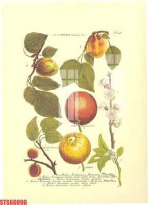 File in lụa Tranh sơn dầu phương tây tổng hợp STS66096 (chất lượng cao) Tranh sơn dầu phương tây tổng hợp STS66096