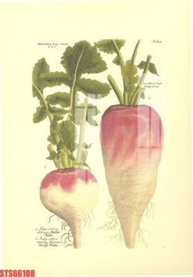 File tranh Tranh sơn dầu phương tây tổng hợp STS66108 (ảnh gốc) sắc nét hoàn hảo