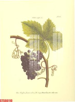 Download file ảnh gốc Tranh sơn dầu phương tây tổng hợp STS66110 để in ấn