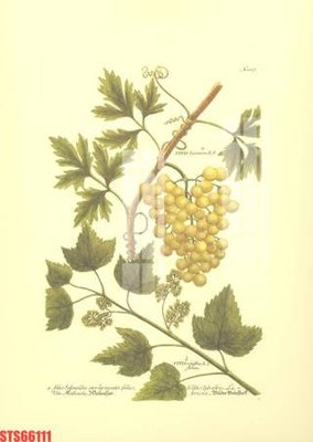 File ảnh Tranh sơn dầu phương tây tổng hợp STS66111 (gốc) in quảng cáo ngoài trời