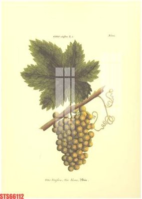 File tranh Tranh sơn dầu phương tây tổng hợp STS66112 (ảnh gốc) cho in ấn kỹ thuật số