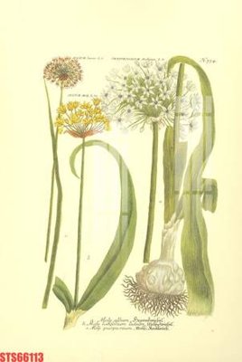 File gốc in ấn Tranh sơn dầu phương tây tổng hợp STS66113 độ phân giải cao