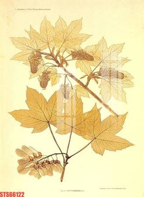 File gốc Tranh sơn dầu phương tây tổng hợp STS66122 (chủ đề hiện đại) trang trí