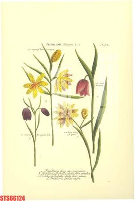 File gốc Tranh sơn dầu phương tây tổng hợp STS66124 (phiên bản chuẩn) để in ấn