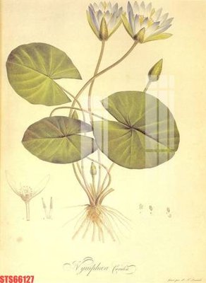 Tải file Tranh sơn dầu phương tây tổng hợp STS66127 (PSD) cho in tranh 3D