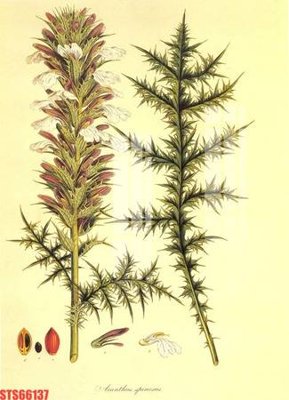 File ảnh Tranh sơn dầu phương tây tổng hợp STS66137 (gốc) in quảng cáo ngoài trời