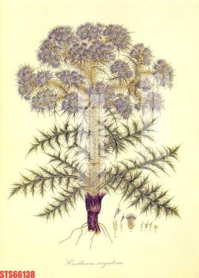 Cung cấp file tranh gốc Tranh sơn dầu phương tây tổng hợp STS66138 độc quyền