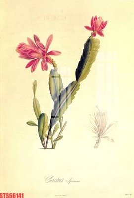 File tranh gốc Tranh sơn dầu phương tây tổng hợp STS66141 chủ đề hiện đại