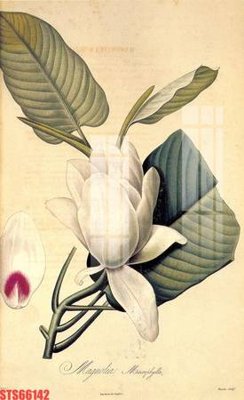 File gốc in ấn Tranh sơn dầu phương tây tổng hợp STS66142 độ phân giải cao