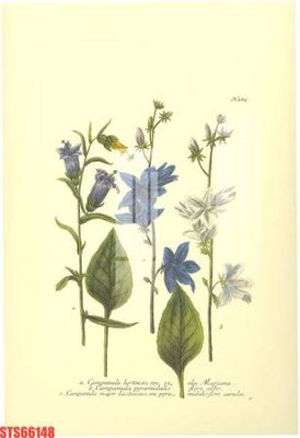 File tranh Tranh sơn dầu phương tây tổng hợp STS66148 (ảnh gốc) sắc nét hoàn hảo