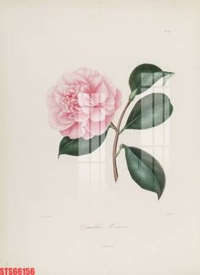 File gốc Tranh sơn dầu phương tây tổng hợp STS66156 (in ấn) không giới hạn