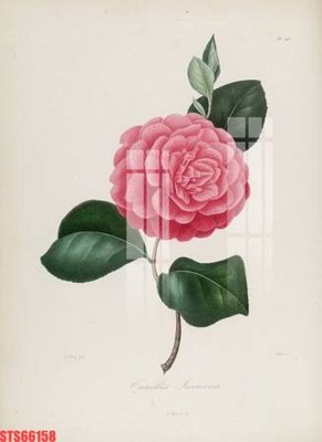 File gốc Tranh sơn dầu phương tây tổng hợp STS66158 (in lụa) hoa văn cổ điển