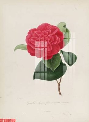 File gốc Tranh sơn dầu phương tây tổng hợp STS66160 (PNG) nền trong suốt