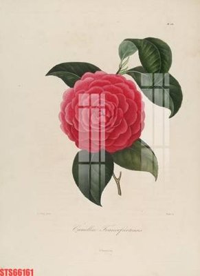 Download file Tranh sơn dầu phương tây tổng hợp STS66161 (chuẩn in) Tranh sơn dầu phương tây tổng hợp STS66161