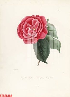 File in ấn Tranh sơn dầu phương tây tổng hợp STS66188 (bản gốc) chất lượng cao