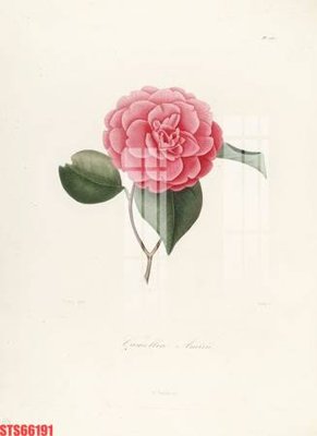 Ảnh gốc file in lụa Tranh sơn dầu phương tây tổng hợp STS66191 chi tiết