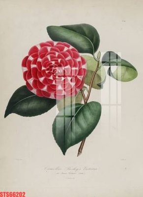 Tải file PSD Tranh sơn dầu phương tây tổng hợp STS66202 (nguyên layer) để in