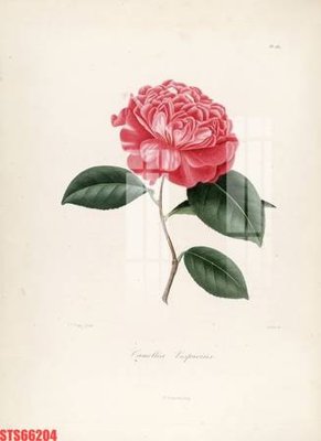 File PSD Tranh sơn dầu phương tây tổng hợp STS66204 (bản gốc) độ phân giải cao