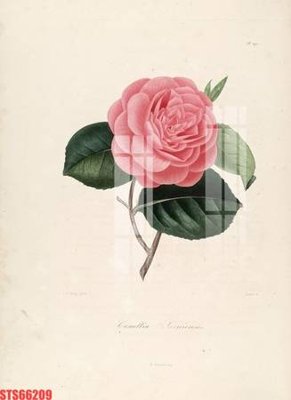 File gốc Tranh sơn dầu phương tây tổng hợp STS66209 (phong cách) tối giản