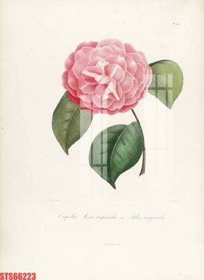 File gốc Tranh sơn dầu phương tây tổng hợp STS66223 (cho in ấn) từ Filetranh.com