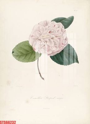 Tải file Tranh sơn dầu phương tây tổng hợp STS66232 (gốc) in ấn chất lượng